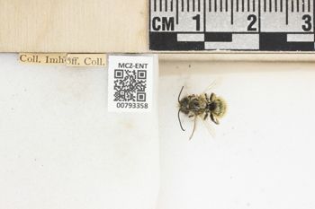 Media type: image;   Entomology 793358 Aspect: Labels